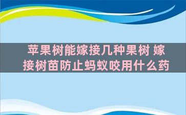 苹果树能嫁接几种果树 嫁接树苗防止蚂蚁咬用什么药